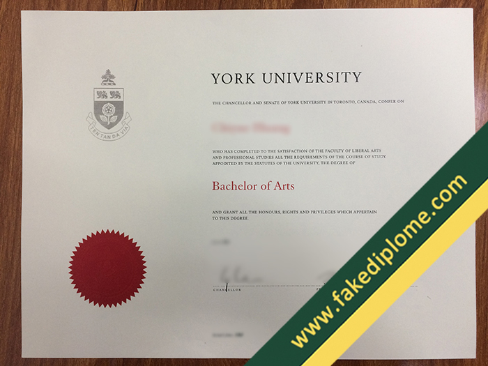 fake York University diploma, York University fake degree, fake York University certificate