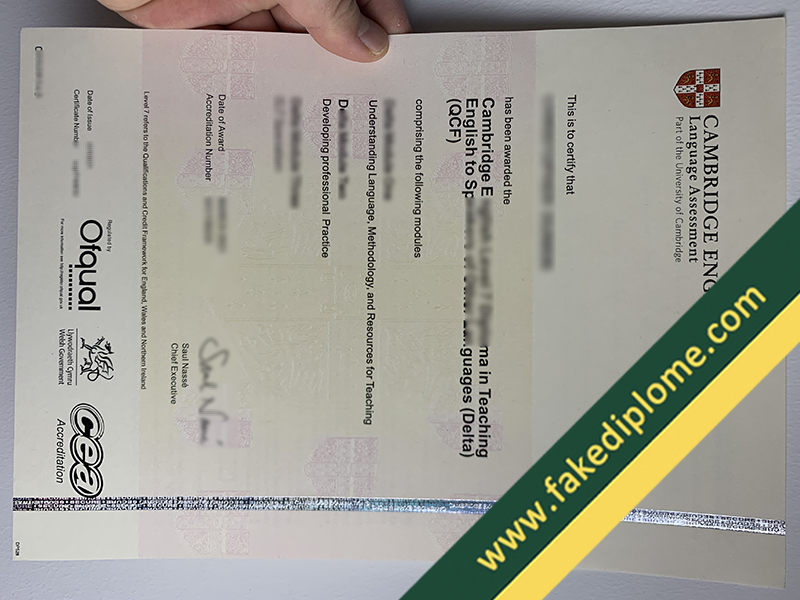 fake Cambridge Delta QCF diploma, fake Cambridge Delta QCF certificate