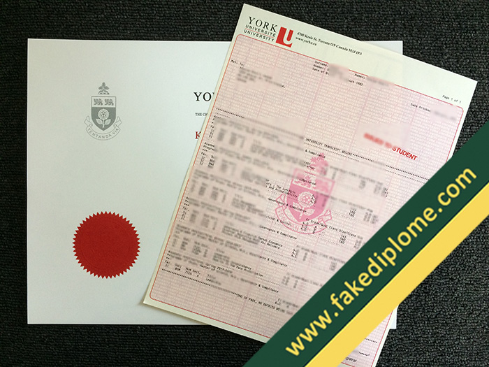 York university fake transcript, York university fake diploma, York university fake degree