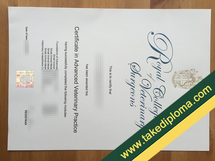 fake RCVS diploma, fake RCVS certificate, buy fake degree, buy fake certificate, diploma