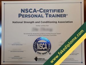 NSCA fake certificate 300x225 NSCA fake certificate