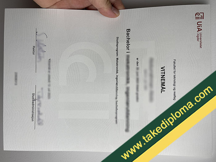 Universitetet i Agder diplom, Universitetet i Agder fake degree, Universitetet i Agder certificate