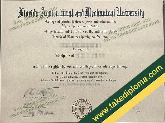 Florida AM University diploma sample Florida AM University diploma sample Fast Track Your Obtain Florida A&M University (FAMU) Diploma