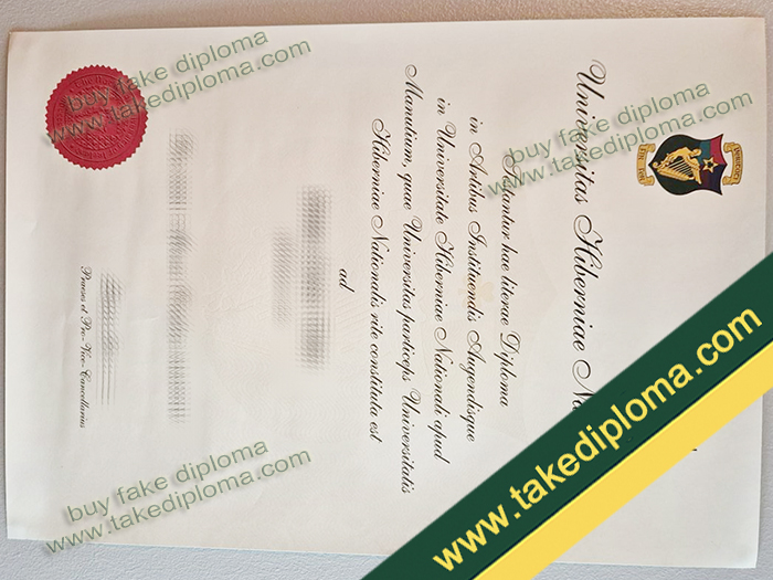 Maynooth University diploma, Maynooth University degree, Maynooth University certificate