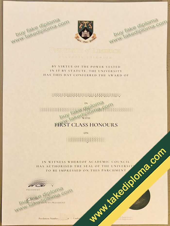 University of Limerick diploma example University of Limerick diploma example Where to Obtain University of Limerick Diploma Certificate?
