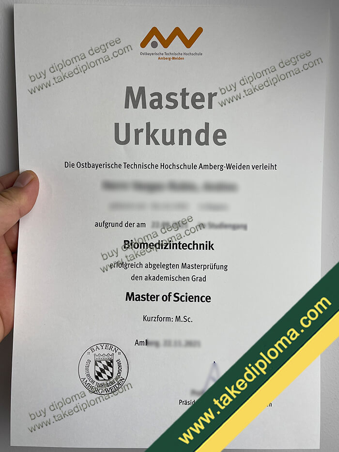 OTH Amberg Weiden diploma example OTH Amberg Weiden diploma example How to Obtain OTH Amberg Weiden Urkunde Diploma?